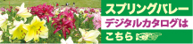 デジタルカタログ