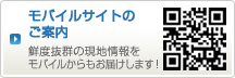 モバイルサイトのご案内　鮮度抜群の現地情報をモバイルからもお届けします！ードはこちら