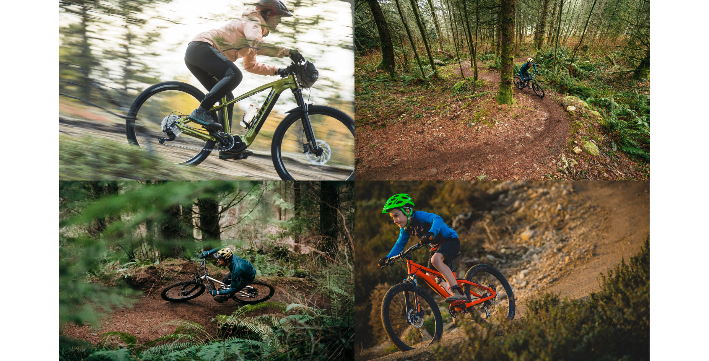 マウンテンバイク