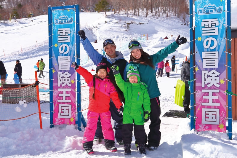 雪の冒険王国利用料（当日のみ有効）