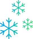 snowy